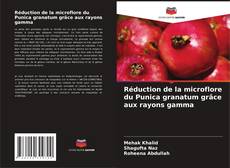 Buchcover von Réduction de la microflore du Punica granatum grâce aux rayons gamma