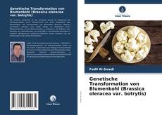 Bookcover of Genetische Transformation von Blumenkohl (Brassica oleracea var. botrytis)