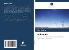 Bookcover of Mikronetz