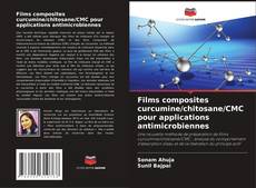 Bookcover of Films composites curcumine/chitosane/CMC pour applications antimicrobiennes