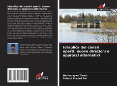 Capa do livro de Idraulica dei canali aperti: nuove direzioni e approcci alternativi 