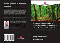 Buchcover von Évaluation du potentiel de séquestration du carbone dans les systèmes agroforestiers