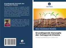 Couverture de Grundlegende Konzepte der Calixpyrrol-Chemie
