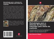 Обложка Metodologia para a deteção de fissuras induzidas pelo efeito de explosão