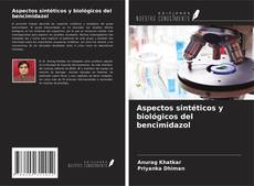 Обложка Aspectos sintéticos y biológicos del bencimidazol