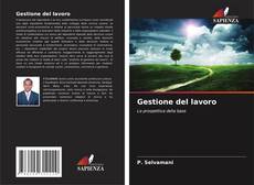 Buchcover von Gestione del lavoro