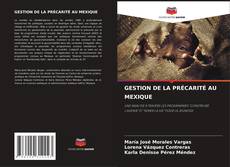 Bookcover of GESTION DE LA PRÉCARITÉ AU MEXIQUE