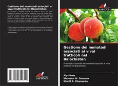 Bookcover of Gestione dei nematodi associati ai vivai frutticoli nel Balochistan