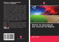 Обложка Efeitos da degradação dos recursos na Nigéria