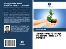 Обложка Steingrafting bei Mango (Mangifera indica L.) cv. Amrapali