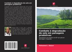 Borítókép a  Combate à degradação do solo em paisagens produtivas - hoz