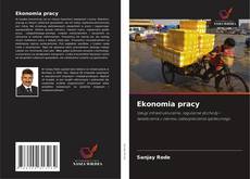 Couverture de Ekonomia pracy