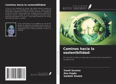 Caminos hacia la sostenibilidad: kitap kapağı