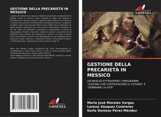 Copertina di GESTIONE DELLA PRECARIETÀ IN MESSICO