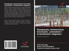 Bookcover of Kompozyty wzmocnione trocinami, cementem i krzemianem magnezu