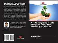 Couverture de Greffe sur pierre chez le manguier (Mangifera indica L.) cv. Amrapali