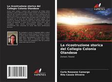 Borítókép a  La ricostruzione storica del Collegio Colonia Olandese - hoz