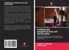 FORMAÇÃO SIGNIFICATIVA EM HOTELARIA的封面