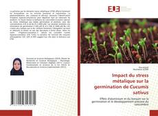 Couverture de Impact du stress métalique sur la germination de Cucumis sativus