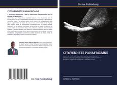 Bookcover of CITOYENNETE PANAFRICAINE