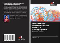 Borítókép a  Modellazione matematica nella scienza e nell'ingegneria - hoz