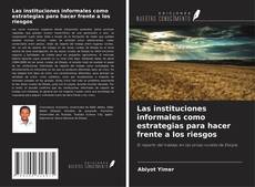 Las instituciones informales como estrategias para hacer frente a los riesgos的封面