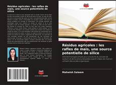 Résidus agricoles : les rafles de maïs, une source potentielle de silice的封面