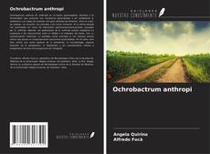 Ochrobactrum anthropi的封面