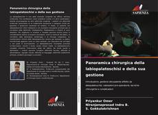 Обложка Panoramica chirurgica della labiopalatoschisi e della sua gestione