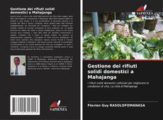 Bookcover of Gestione dei rifiuti solidi domestici a Mahajanga