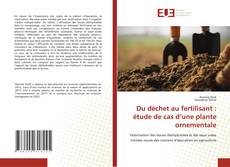 Capa do livro de Du déchet au fertilisant : étude de cas d’une plante ornementale 