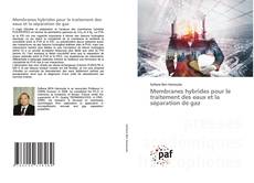 Copertina di Membranes hybrides pour le traitement des eaux et la séparation de gaz