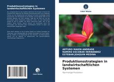 Copertina di Produktionsstrategien in landwirtschaftlichen Systemen