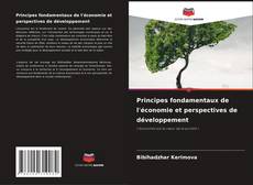 Capa do livro de Principes fondamentaux de l'économie et perspectives de développement 
