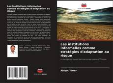 Les institutions informelles comme stratégies d'adaptation au risque的封面