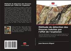 Méthode de détection des fissures induites par l'effet de l'explosion的封面