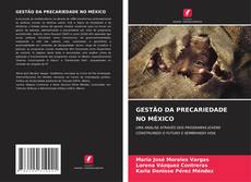Capa do livro de GESTÃO DA PRECARIEDADE NO MÉXICO 