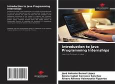 Bookcover of Introduction to Java Programming Internships