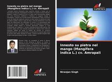 Copertina di Innesto su pietra nel mango (Mangifera indica L.) cv. Amrapali