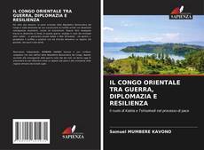 IL CONGO ORIENTALE TRA GUERRA, DIPLOMAZIA E RESILIENZA的封面