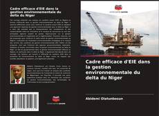 Cadre efficace d'EIE dans la gestion environnementale du delta du Niger的封面