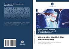 Chirurgischer Überblick über die Gaumenspalte kitap kapağı