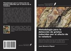 Metodología para la detección de grietas inducidas por el efecto de la voladura kitap kapağı