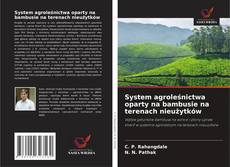 System agroleśnictwa oparty na bambusie na terenach nieużytków的封面