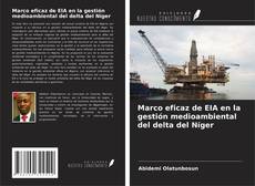 Buchcover von Marco eficaz de EIA en la gestión medioambiental del delta del Níger