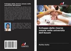 Portada del libro de Sviluppo delle risorse umane nelle università dell'Assam