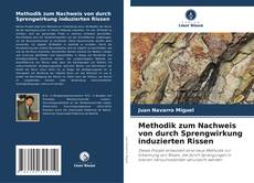 Couverture de Methodik zum Nachweis von durch Sprengwirkung induzierten Rissen