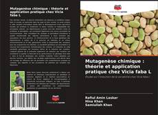Mutagenèse chimique : théorie et application pratique chez Vicia faba L的封面