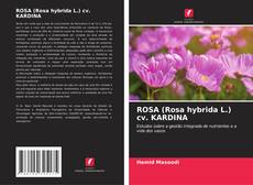 Borítókép a  ROSA (Rosa hybrida L.) cv. KARDINA - hoz