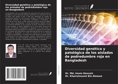 Bookcover of Diversidad genética y patológica de los aislados de podredumbre roja en Bangladesh